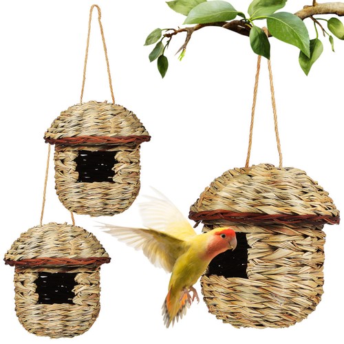 Pcs cabane oiseaux - ,