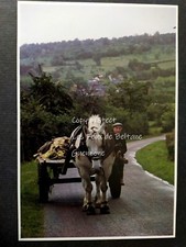 Carriole cheval fermier bocage normand NORMANDIE photo document cutout 
