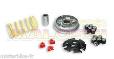 Variateur MALOSSI Multivar