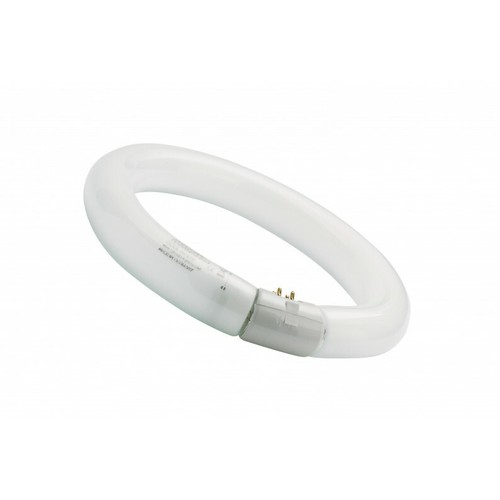 Novaline néon circulaire - novaline,