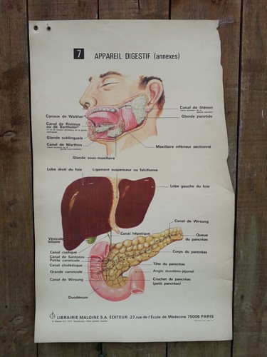 Ancienne affiche medecine - ancienne,