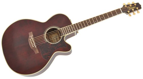 Takamine dmp551c acoustic - dmp551c, wr