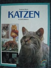 Katzen, Unknown
