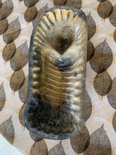 ancien moule Poupon terre