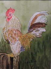 Peinture Aquarelle Animalière