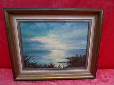 Beau Tableau___Paysage