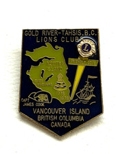 Lions Club International Pin