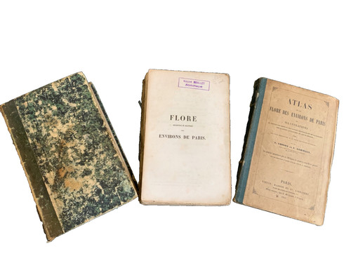 Cosson germain 1845 flore - germain,