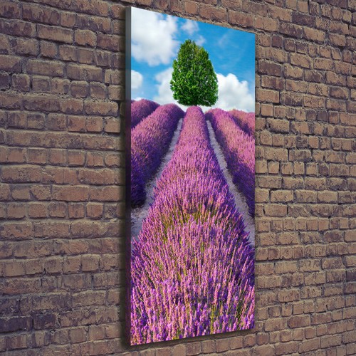 Tulup tableau sur toile - tableau, image