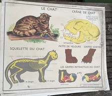 6 Anciennes affiches Tableaux de Sciences ROSSIGNOL