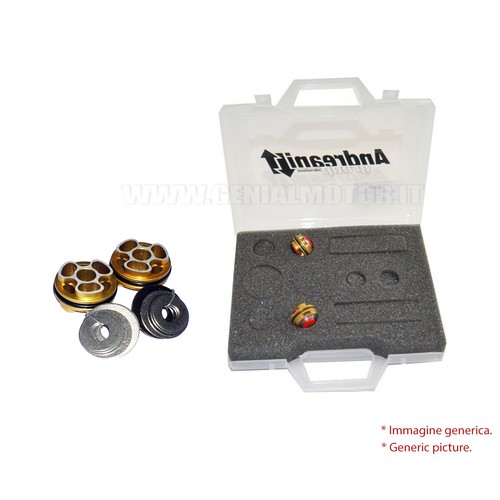 Andreani compression pistons - compression,