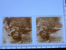 PLAQUE DE VERRE STEREOSCOPIQUE WW1/1914-1918/1 GUERRE MONDIAL PLANOX 6X13cm "A2"