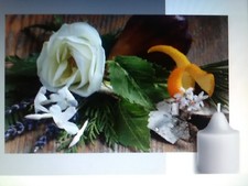 RARE * PLUS AU CATALOGUE *:Boite de 6 Lampions Partylite Bouleau Argent et Figue