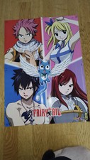 Poster Fairy Tail natsu Happy Erza Que sa volonté soit faite manga anime affiche