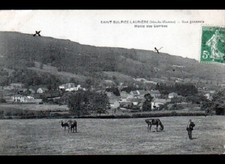 SAINT-SULPICE-LAURIERE (87) BOVIN & CHEVAL en PATURAGE animé & VILLAS en 1908