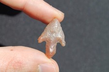 Préhistoire Néolithique