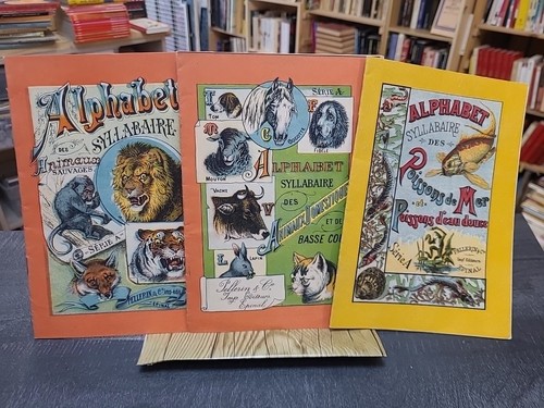 Alphabet syllabaire des