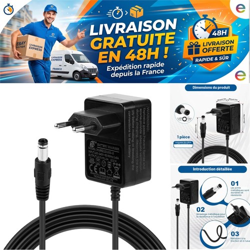 Chargeur a voiture - 12, 1
