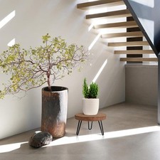 Support à plantes en bois