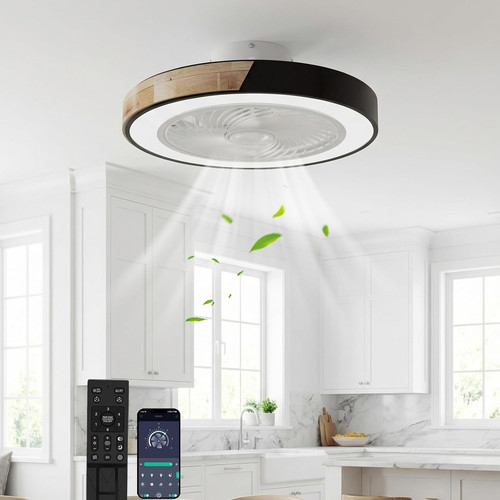 Ventilateur De Plafond Avec