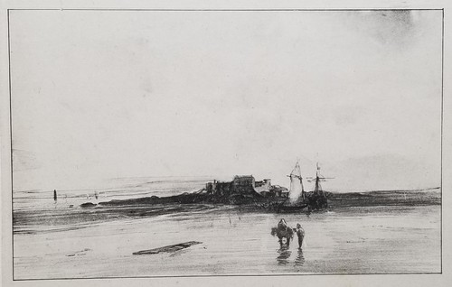 Camille roqueplan marine - camille,
