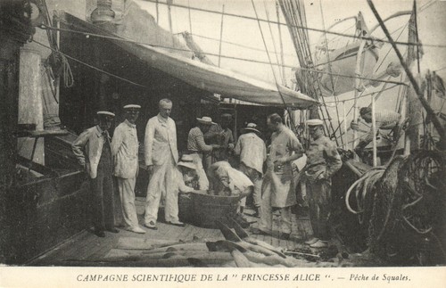 Polar expedition ship - polar,
