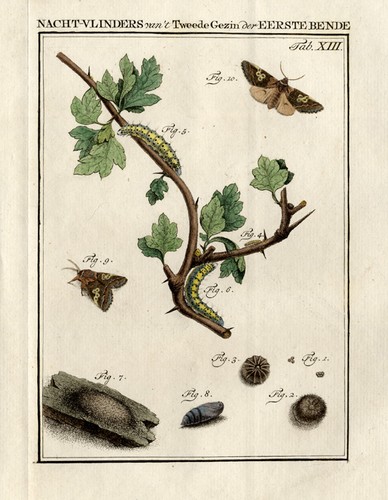 Antique print figure - print-figure, of