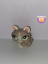 Littlest PetShop Chat SPHYNX