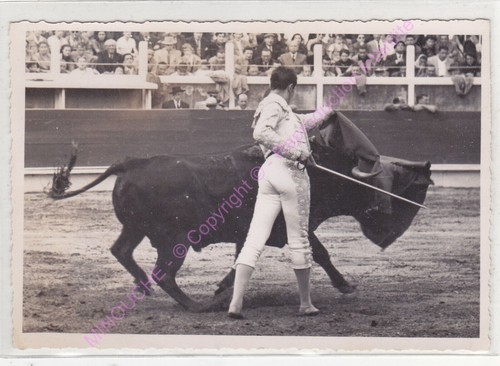 Cpsm toros toreros - cpsm, y