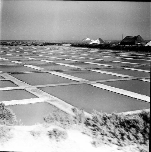 Portugal 1950 marais - 1950,
