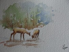 Petite aquarelle originale signée  pour noël ou bonne année "Les deux biches"