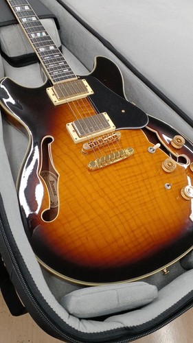 Ibanez jsm10 semi ako - jsm10, semi-ako