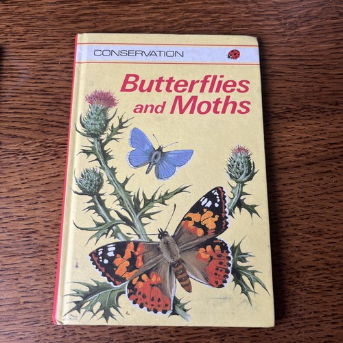 Vintage 1978 ladybird - vintage,