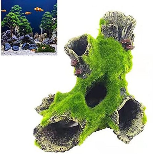 Aquarium tronc arbre - tronc, d'arbre