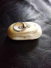 Secouette  Tabatière, Boîte À Priser  En Corne