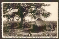 CONGO  BELGE  carte postale