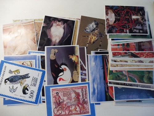 Ancienne images poulain lot - ,