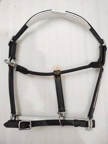 Porte tête anatomique - porte-tête,