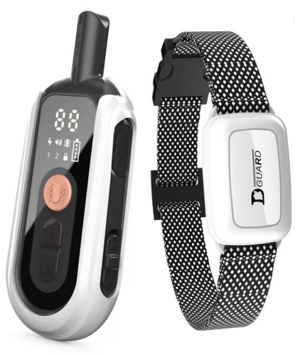 Collier dressage chien - dressage,
