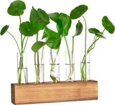 Propagation Stations, Plant Terrarium with Wooden Stand, Birthday Gardening Gift