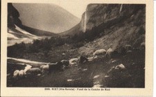 (S-80023) FRANCE - 74 - SIXT FER A CHEVAL CPA MOUTONS AU PATURAGE