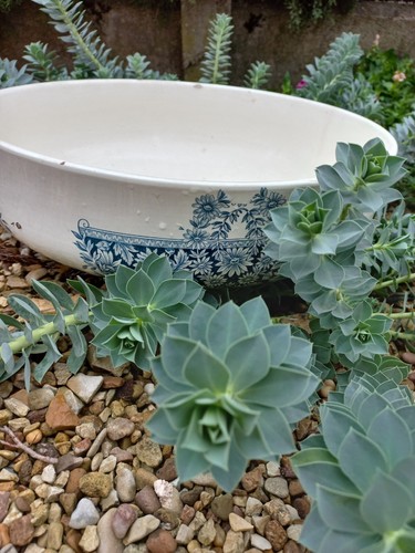 Bassine toilette longchamp - de,