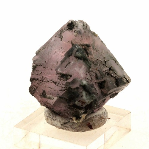 Fluorite rose 136 ct - fluorite, 136.2