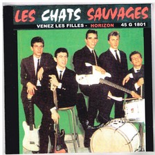 Les CHATS SAUVAGES     Venez