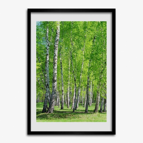 Photo cadre 50x70cm - photo, salon