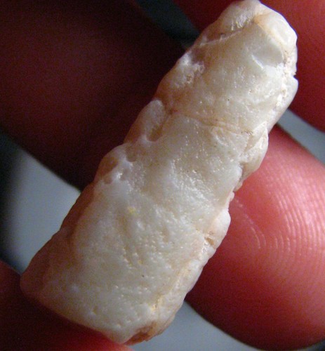 Fossile pipe belemnite - o&co,