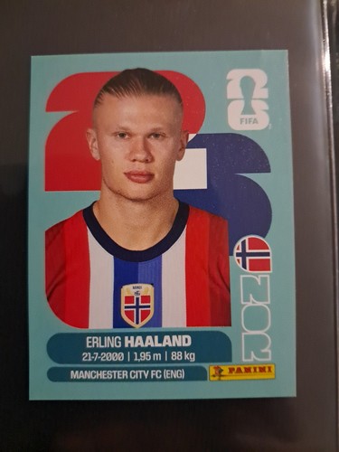Sticker panini fifa world cup - panini,