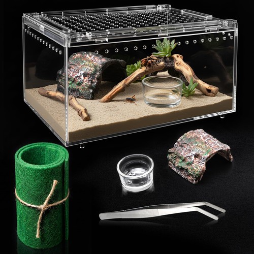 Reptile terrarium starter kit - starter,