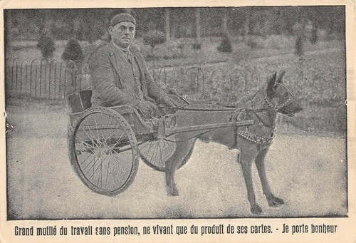 Cpa attelage chien grand - attelage, a