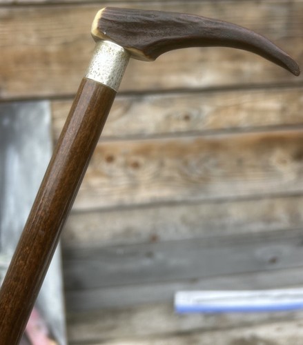 Canne ancienne chasse cane - ancienne,